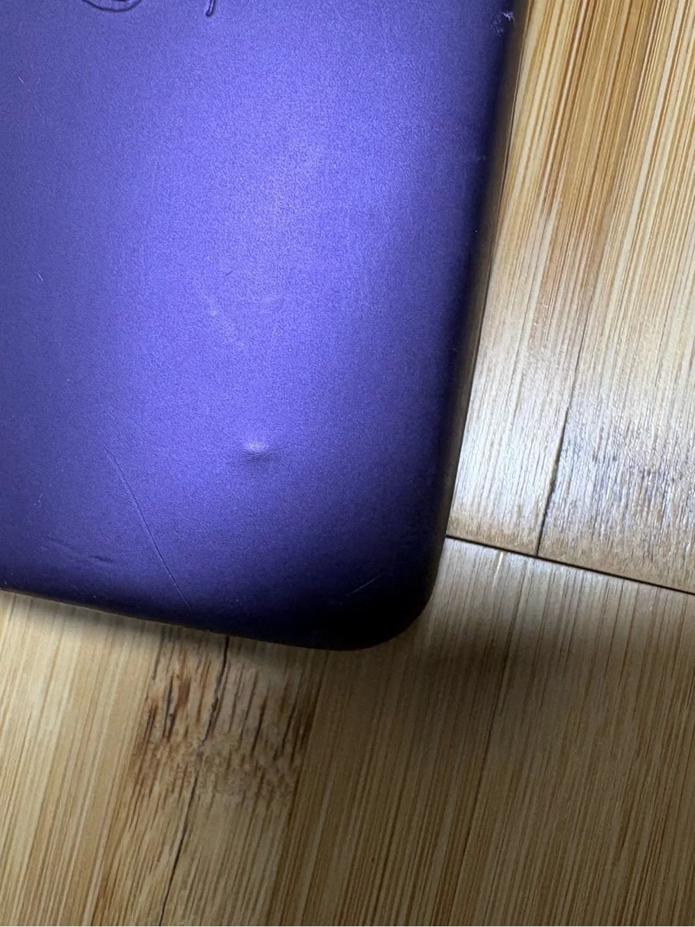 Protective Sunglass Case in Purple